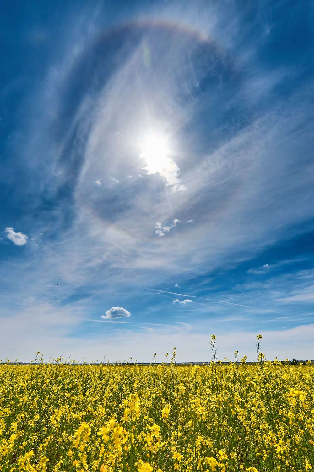 sun, halo, volgograd, russia, wildlife, summer, , Сторчилов Павел