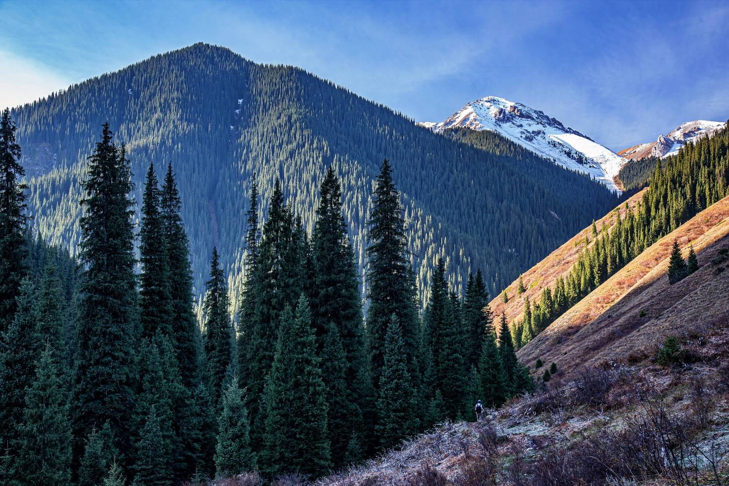 осень горы, Евгений Дроботенко