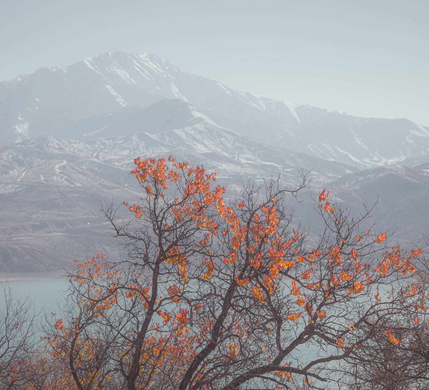 узбекистан, чарвакское водохранилище, чимган, Исаков Дмитрий