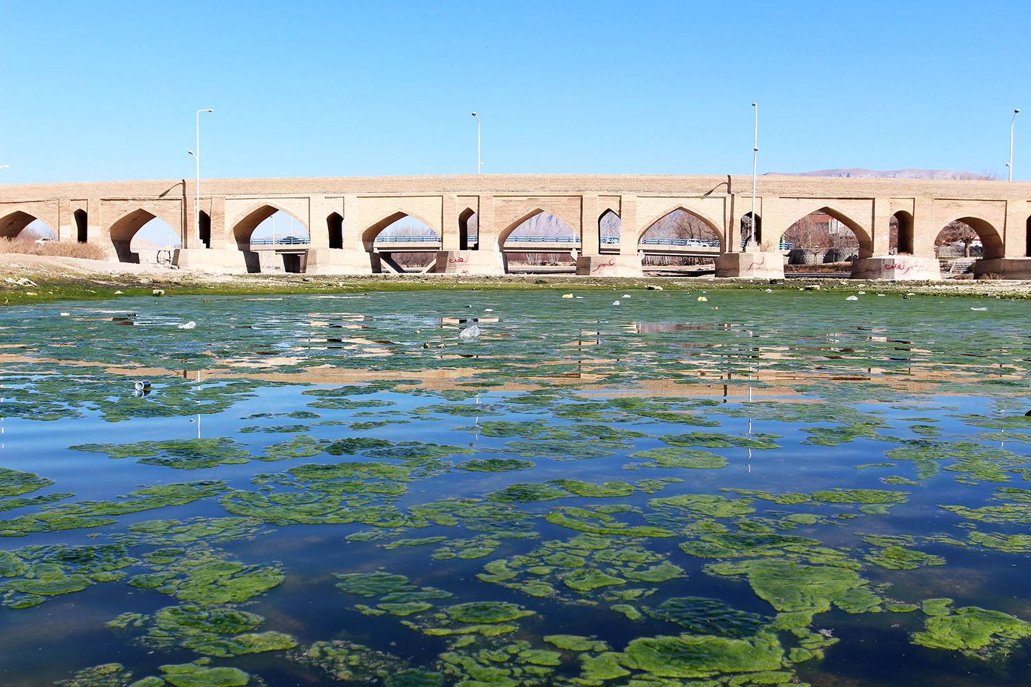 , mehdi karimi souderjani