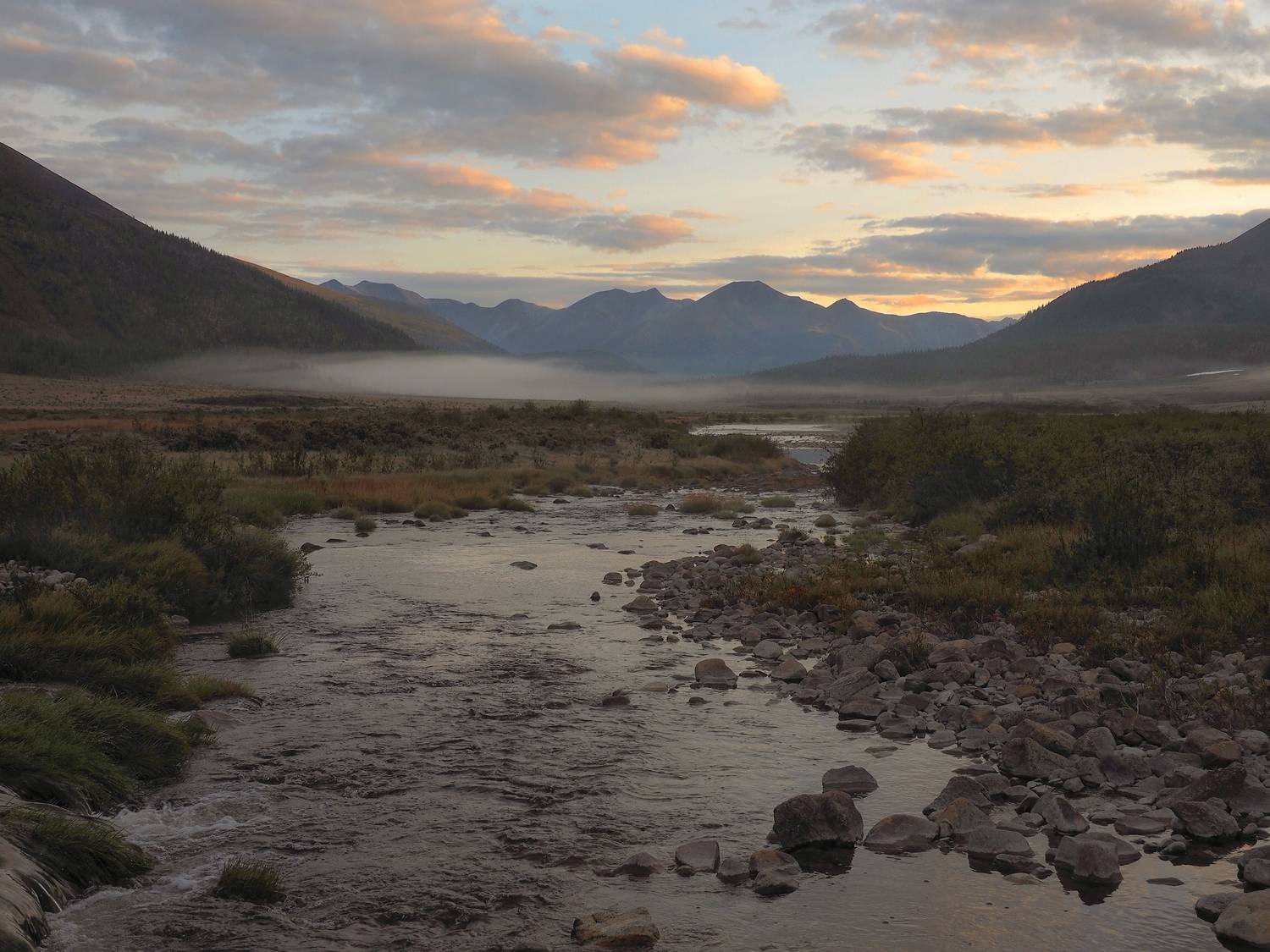 , Александр Попов