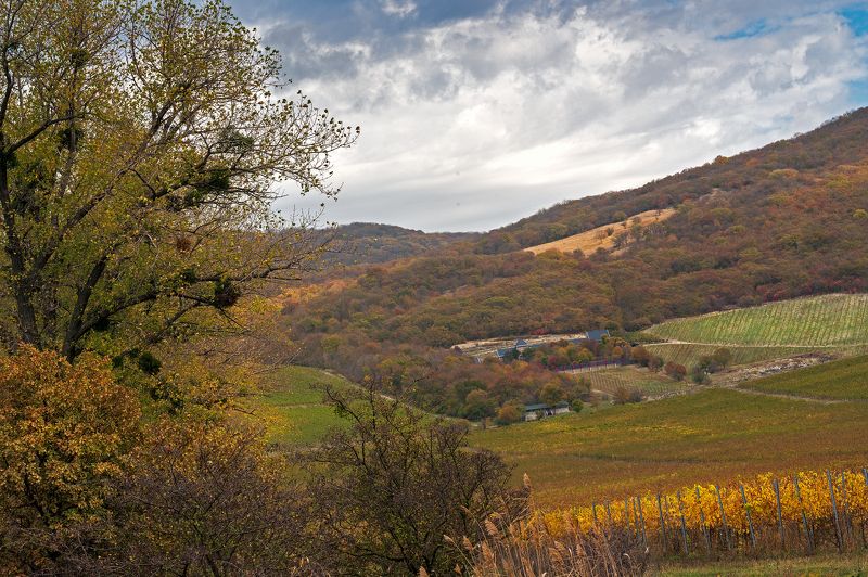 В Семигорье фото превью
