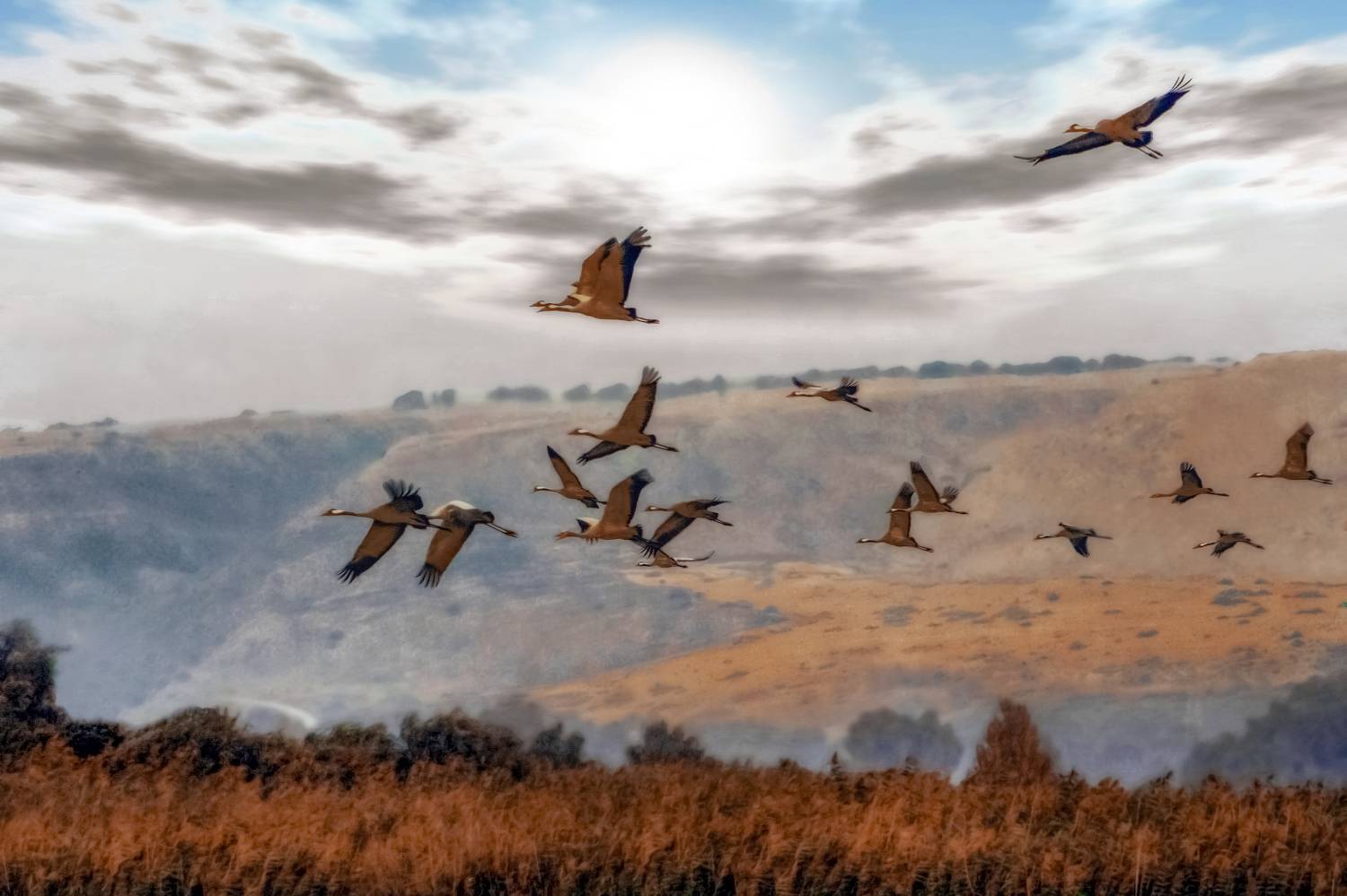 , Вадим Городницкий