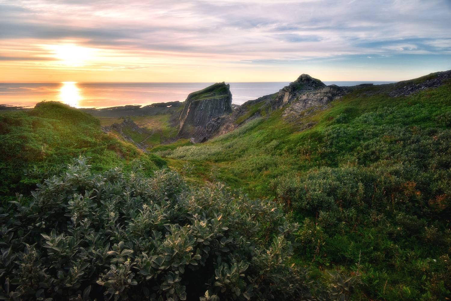 , Алексей Никонов