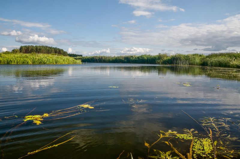 река утро пейзаж облака Аука Судость фото превью