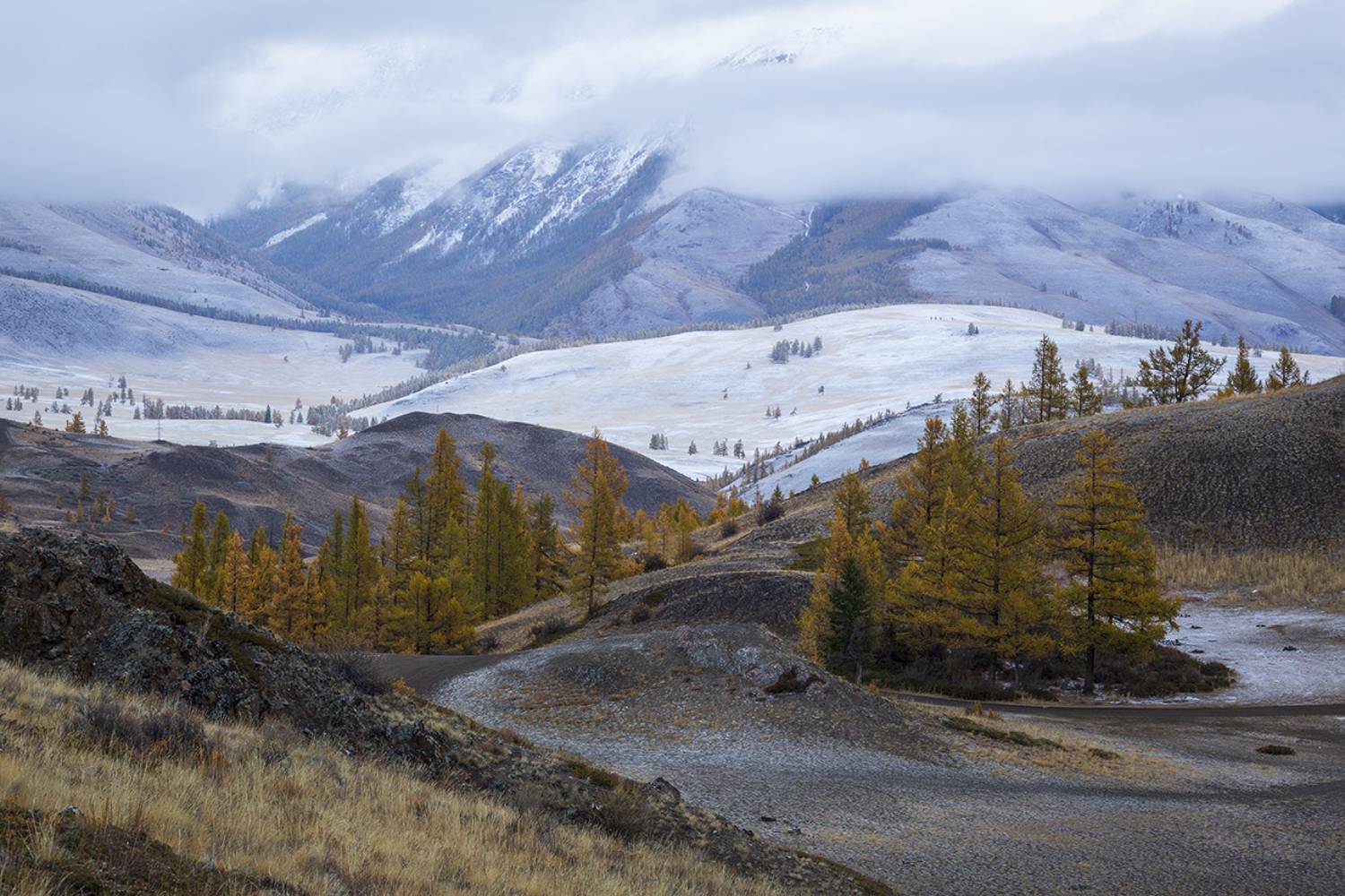 алтай, горный алтай, снег, осень, пейзаж,, Сергей Шульга