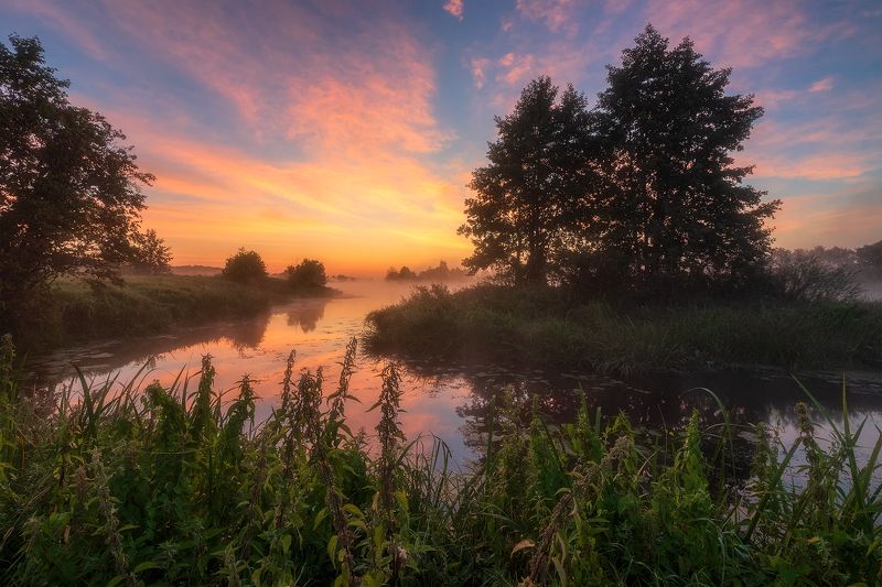 *** фото превью