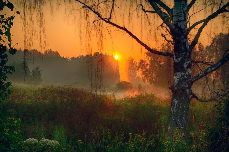 восход, рассвет, пейзаж, солнце, sunrise, dawn, landscape, nature, sun Восход фото превью