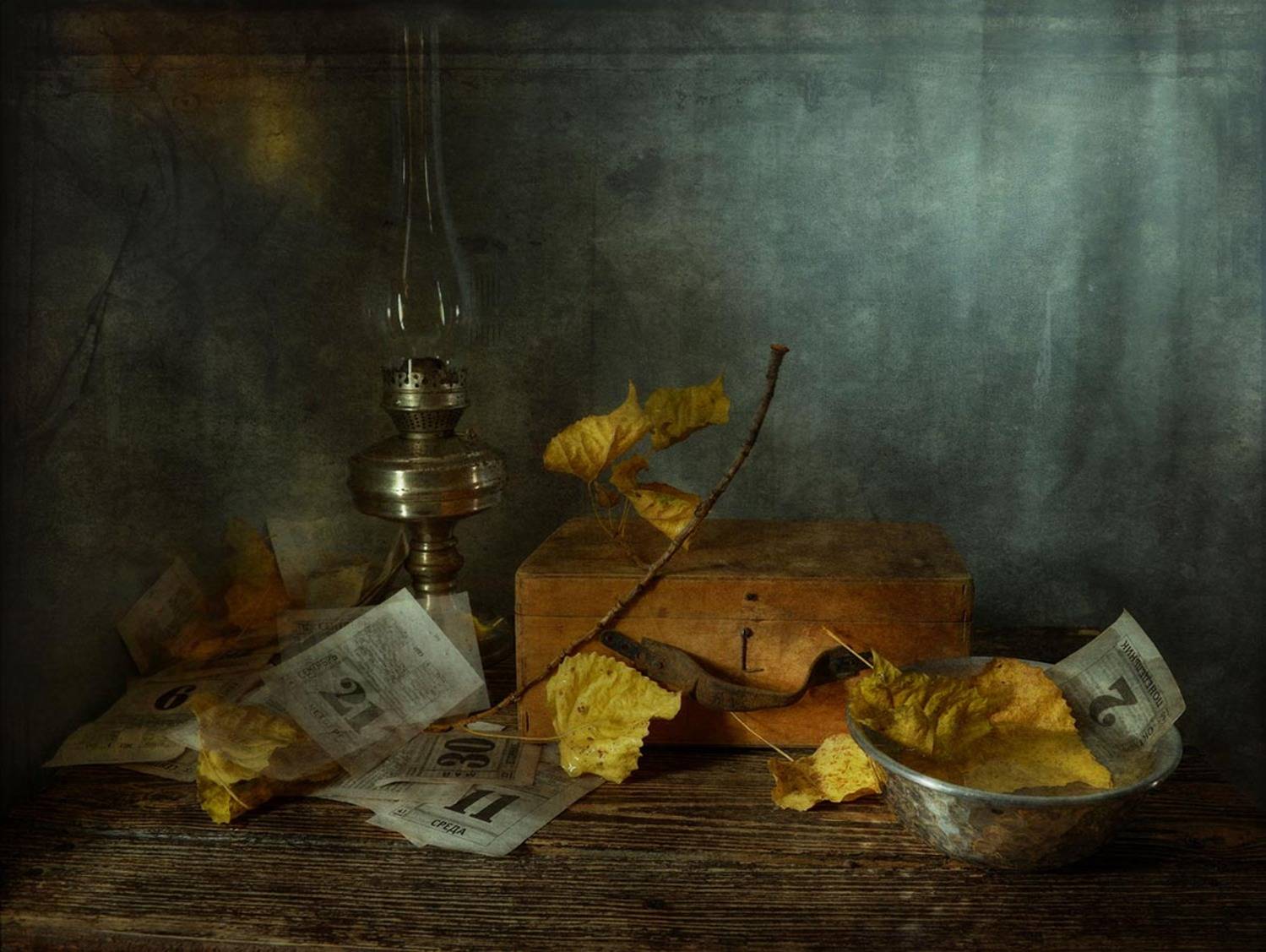 , Ирина Данилова