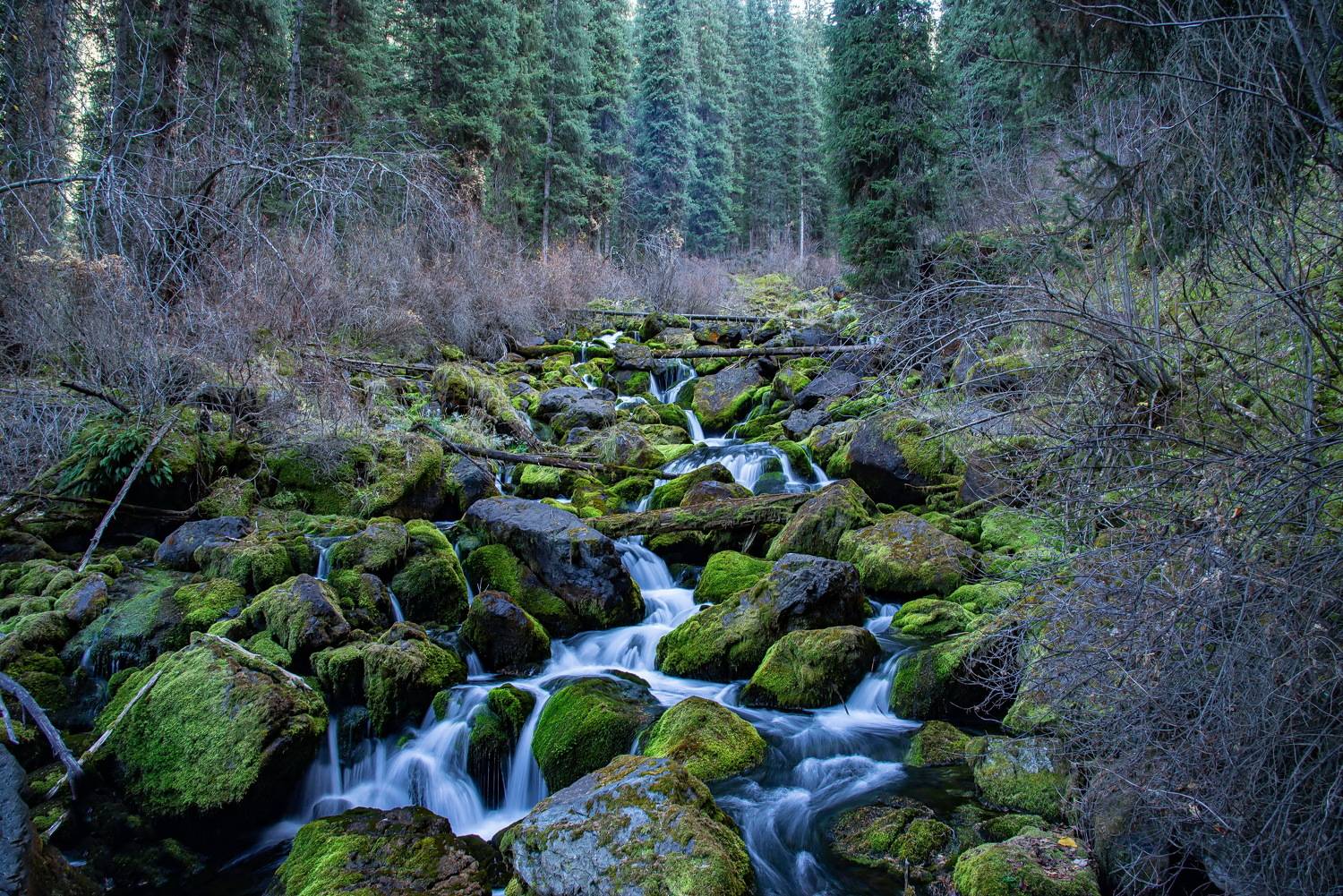 , Евгений Дроботенко