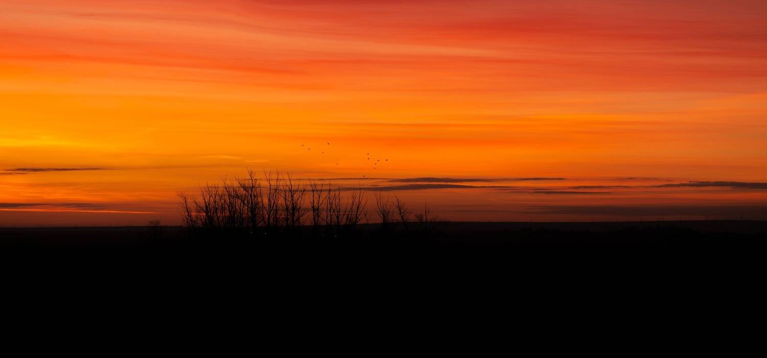 , Антонов Антон