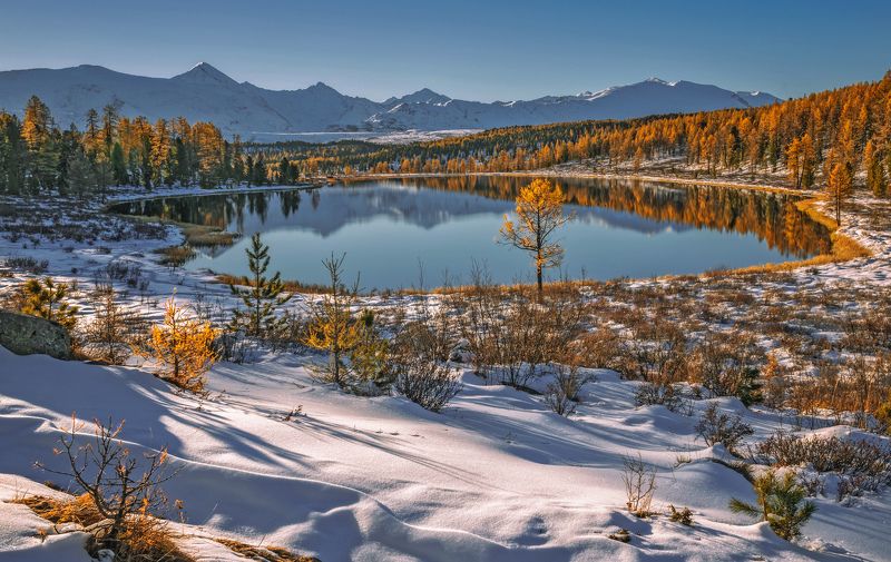 Солнечное утро .... фото превью
