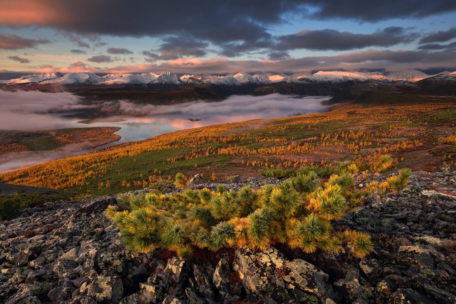, Максим Евдокимов