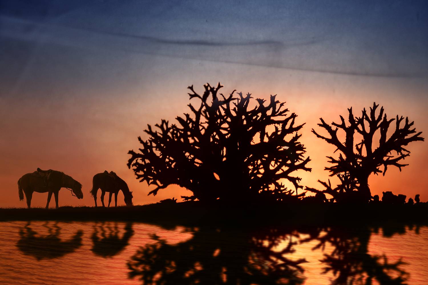 , Владимир Ноздрачев