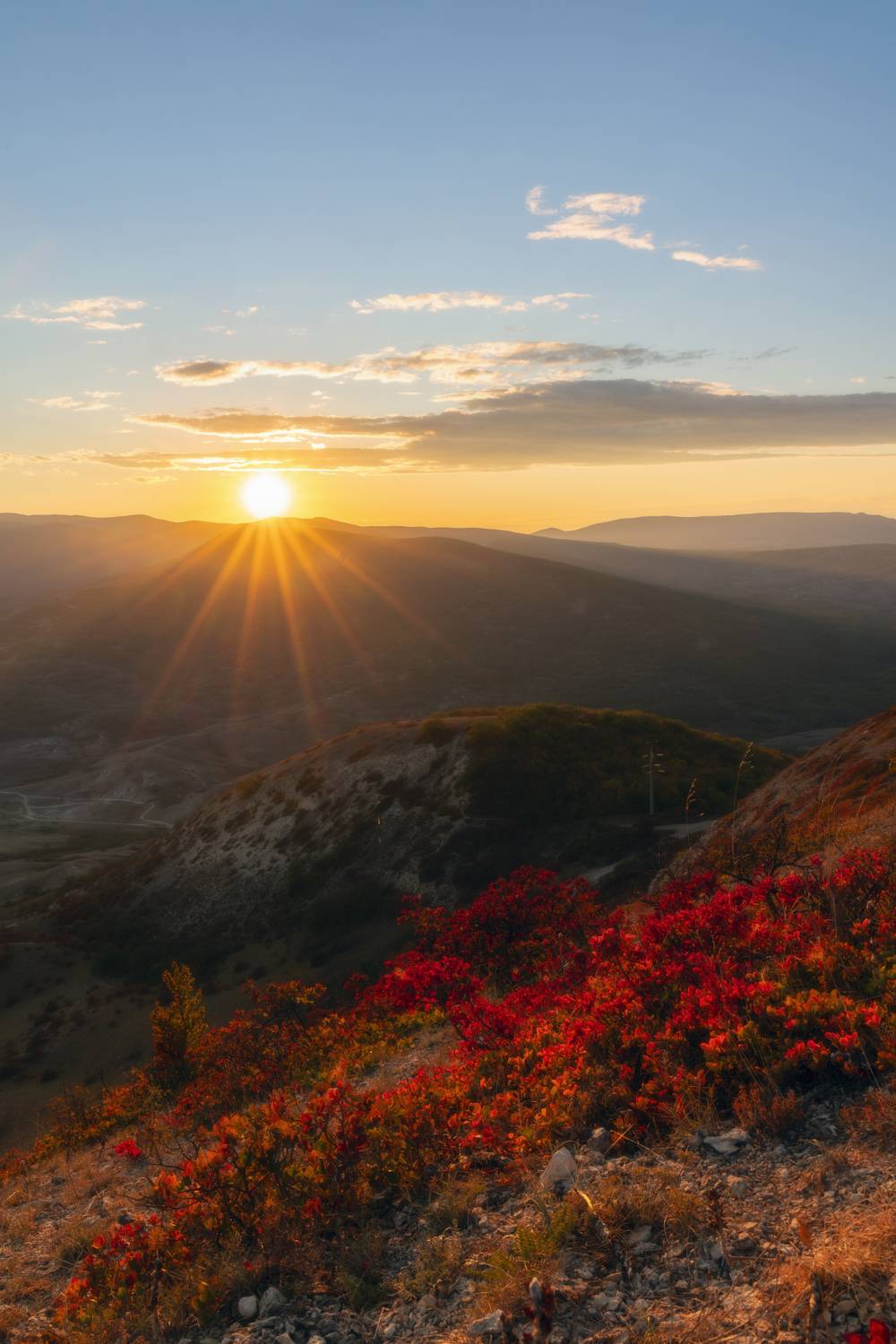 , Юлия Мальцева