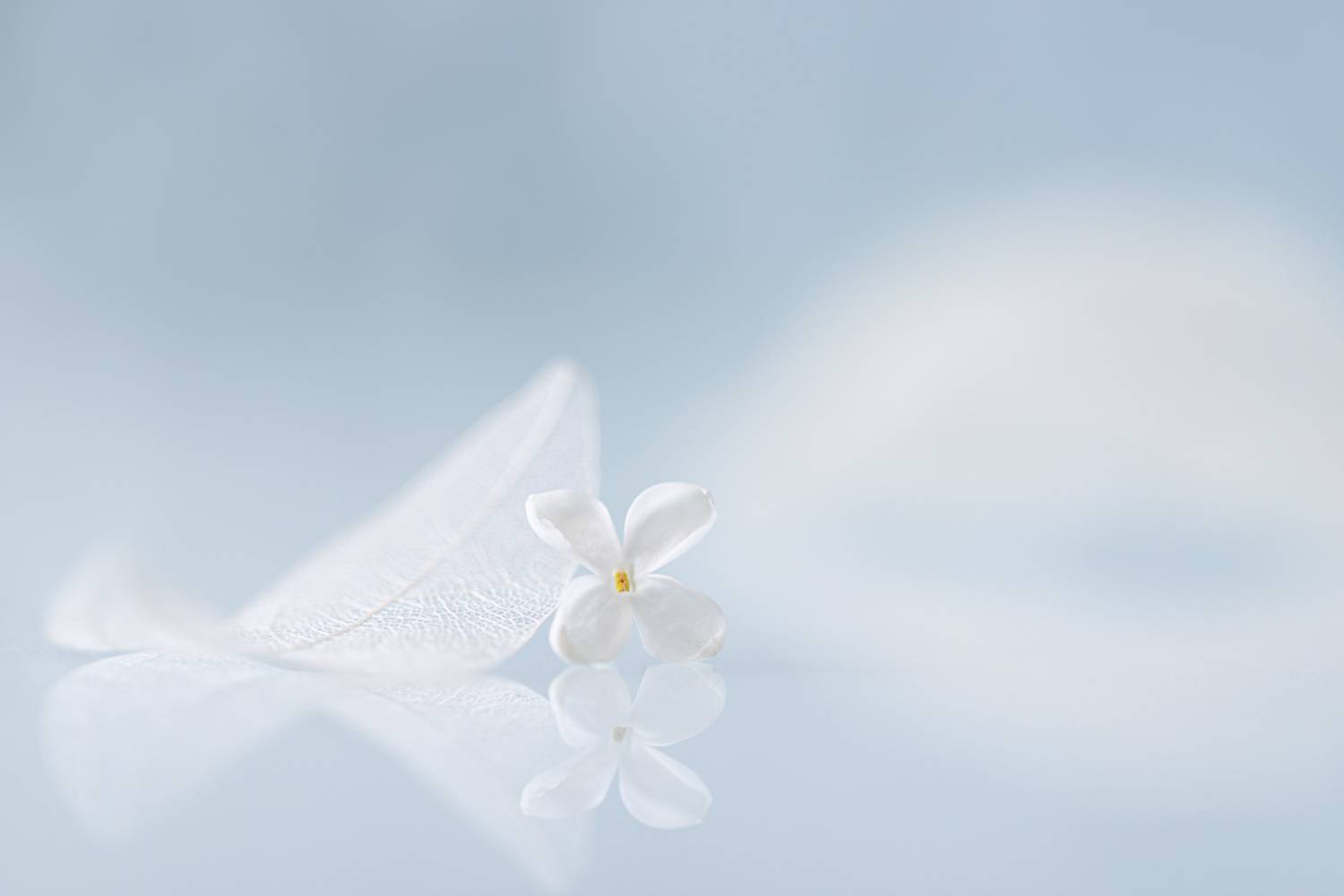 close-up, Игорь Копцев