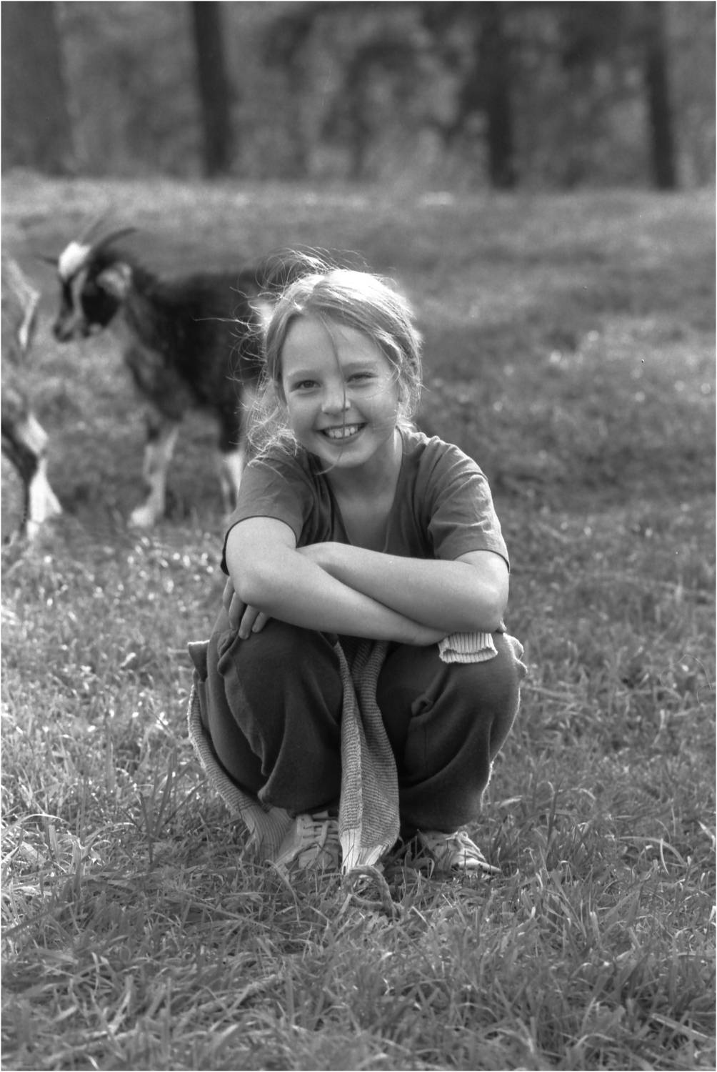 , Владимир Краснов