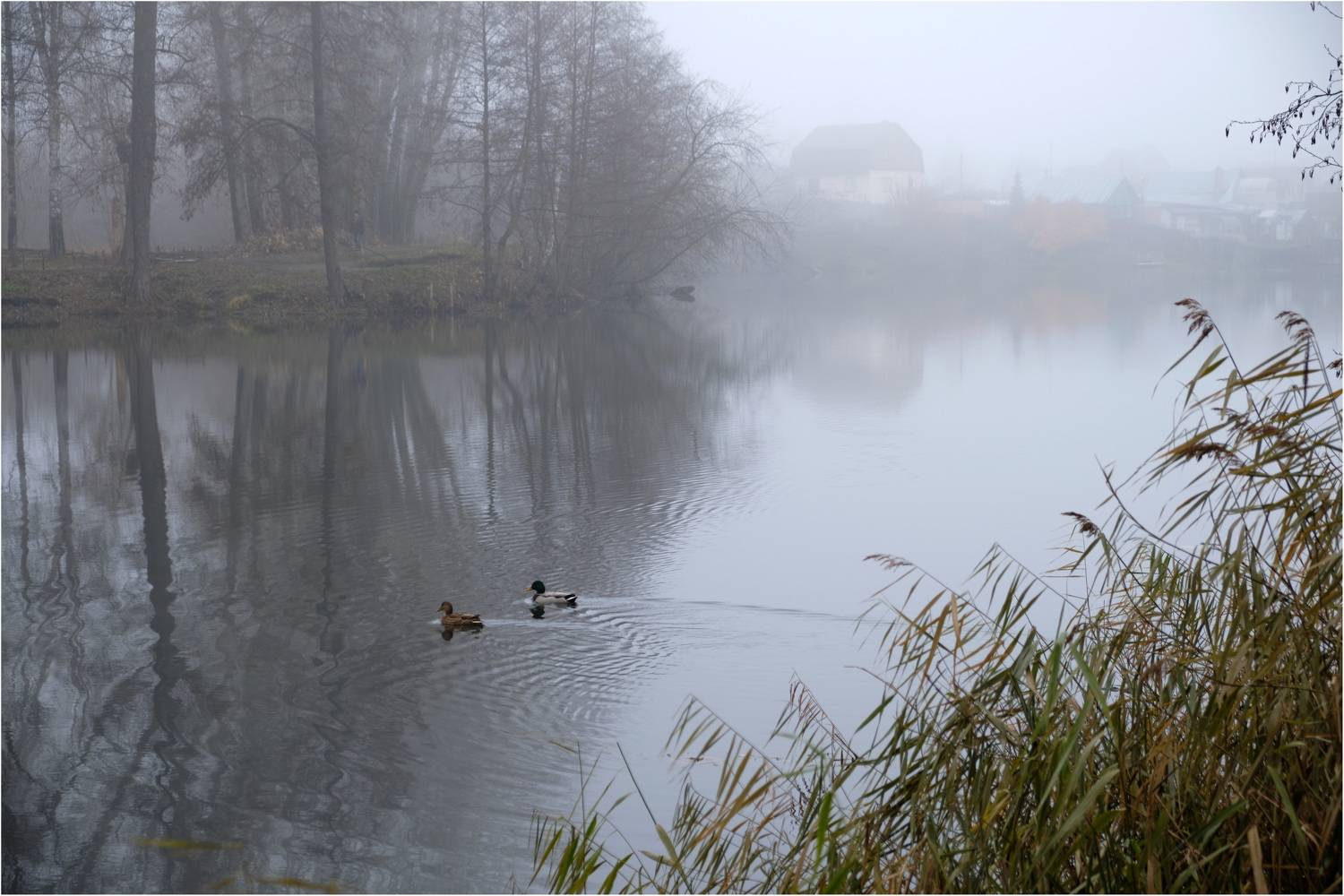 , Владимир Краснов