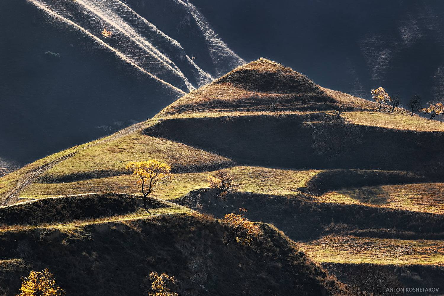 , Антон Кошетаров