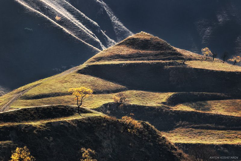 Чохские террасы фото превью