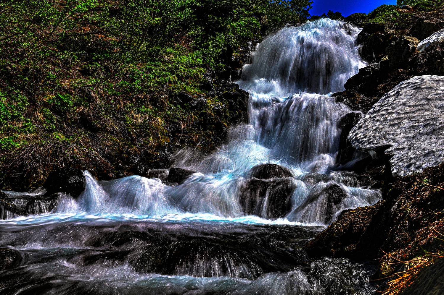 , Александр Мухин
