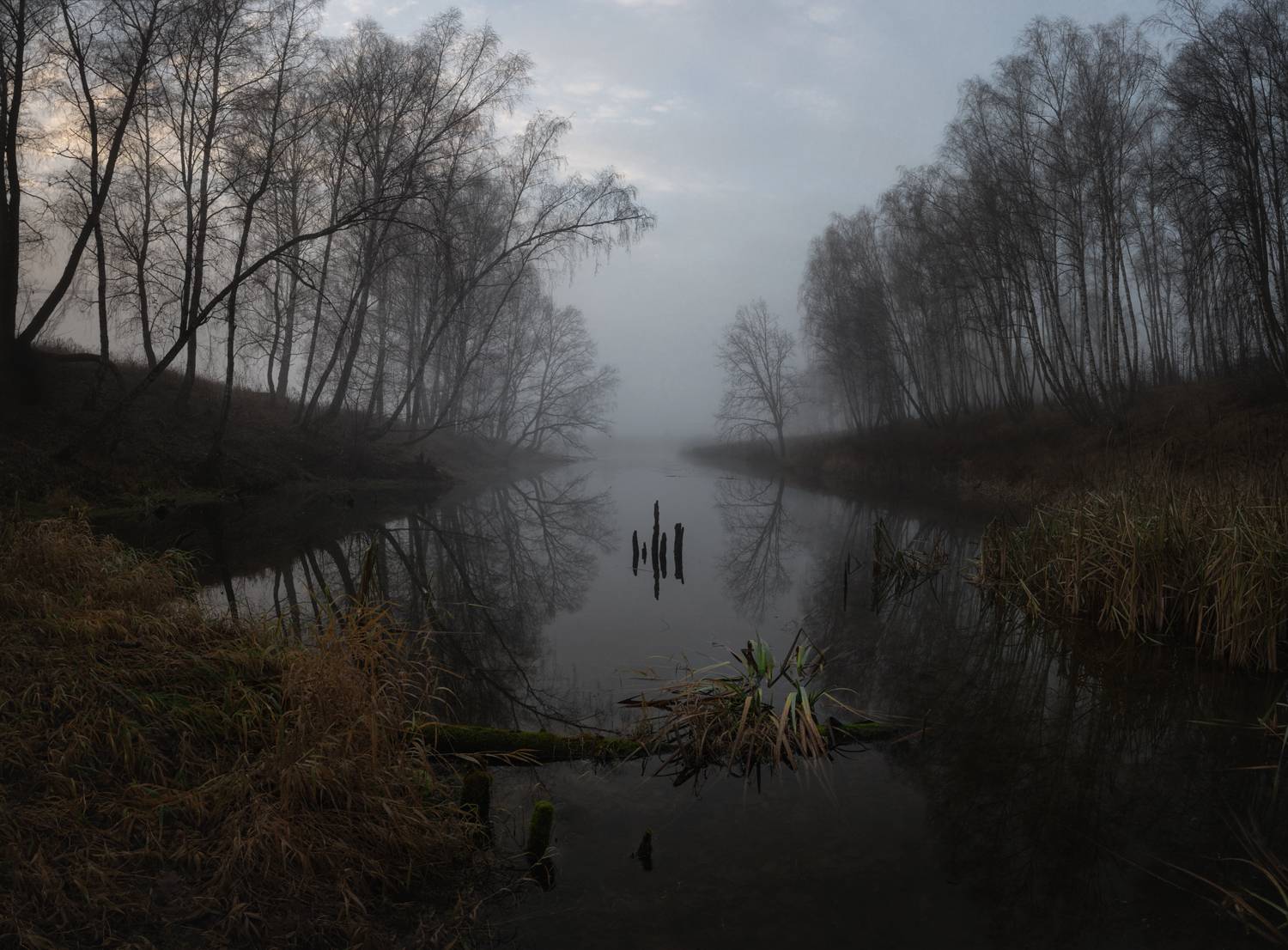 река, свет, утро, природа, тульская обл., Баранов Олег