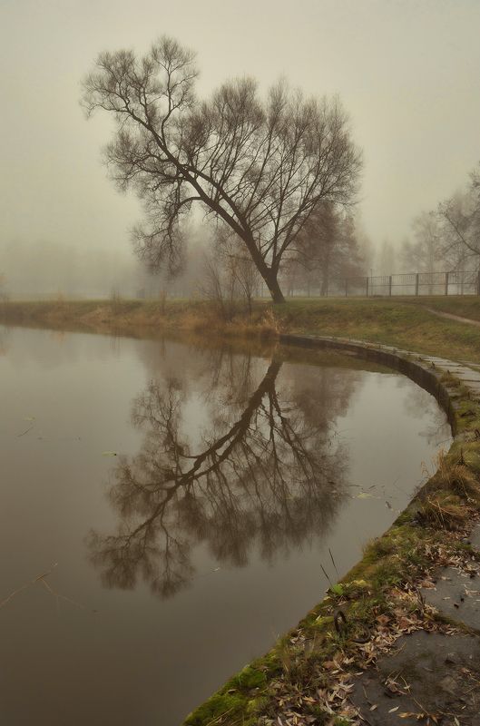 спб,муринский парк,муринский ручей межсезонье фото превью