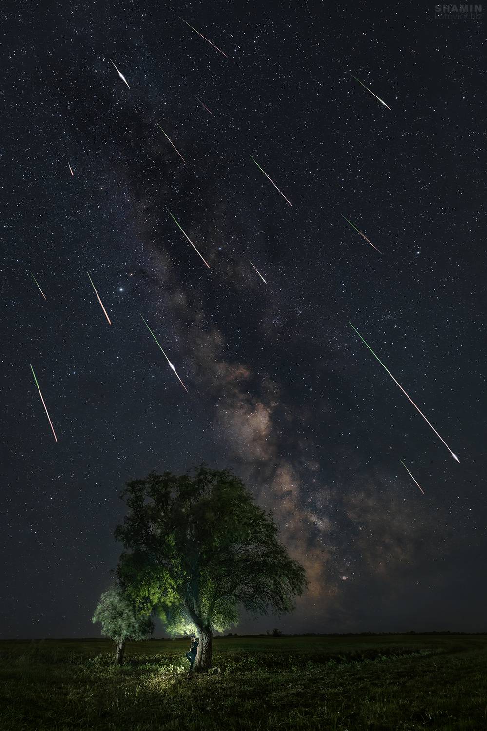 , Константин Шамин