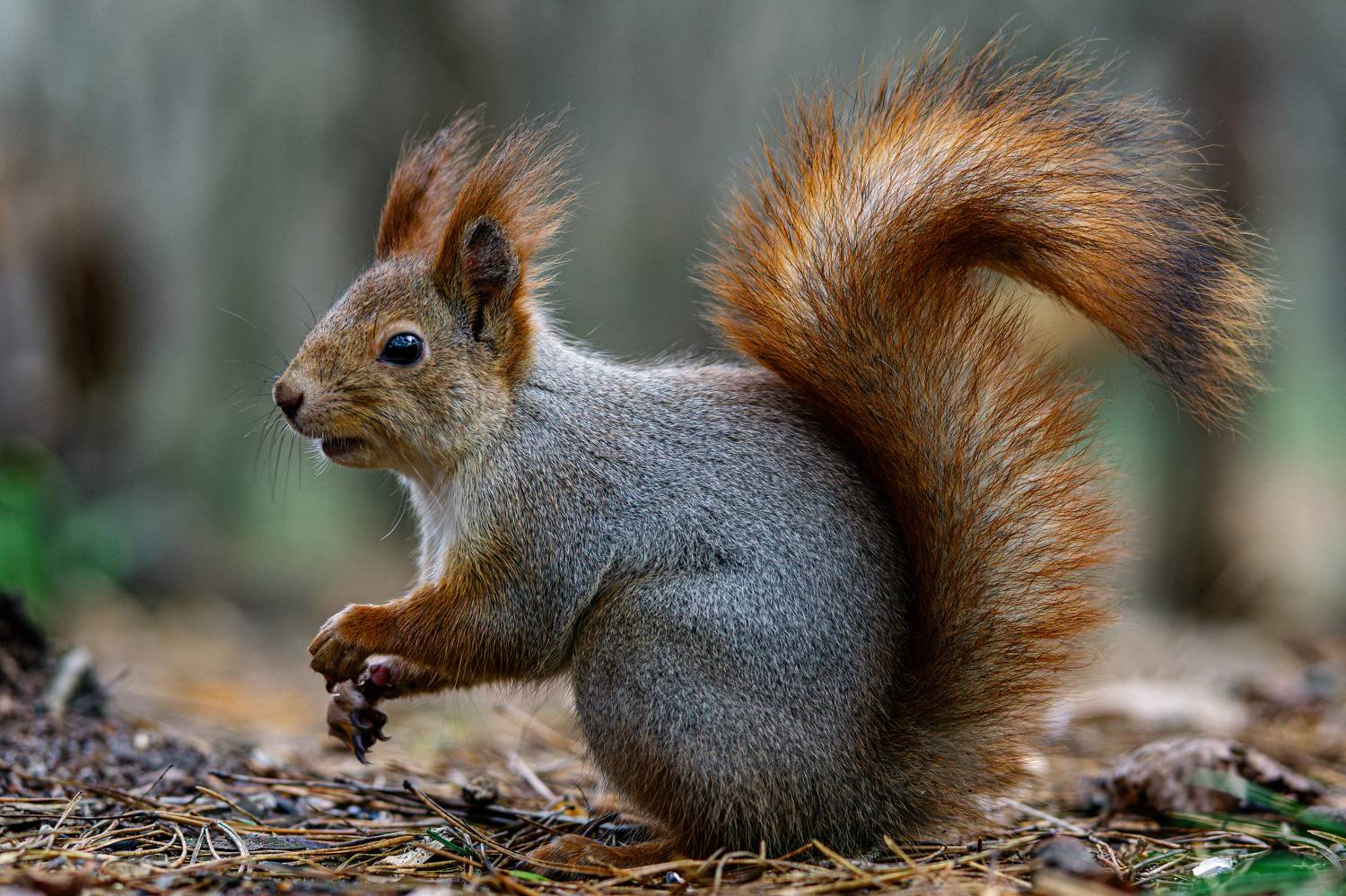 , Вертиков Юрий