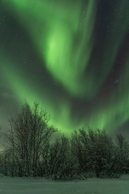Костер  фото превью