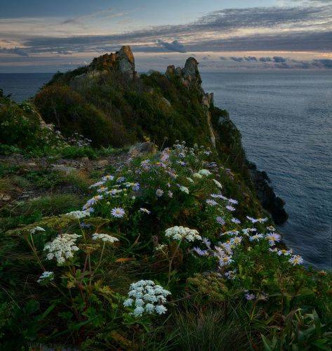 Мыс Пассека.