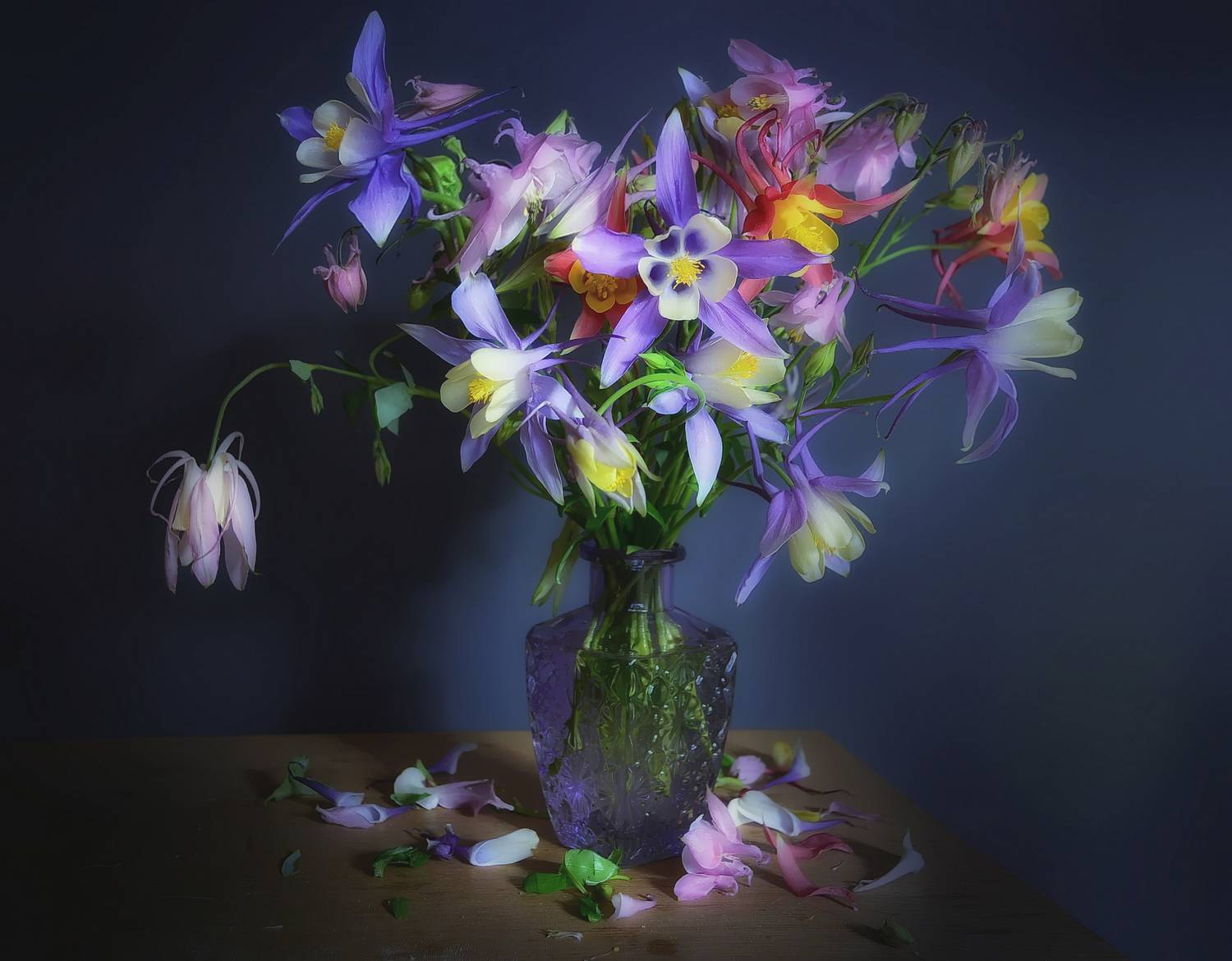 букет,аквилегия,цвет,свет,цветы,лето, Инаида