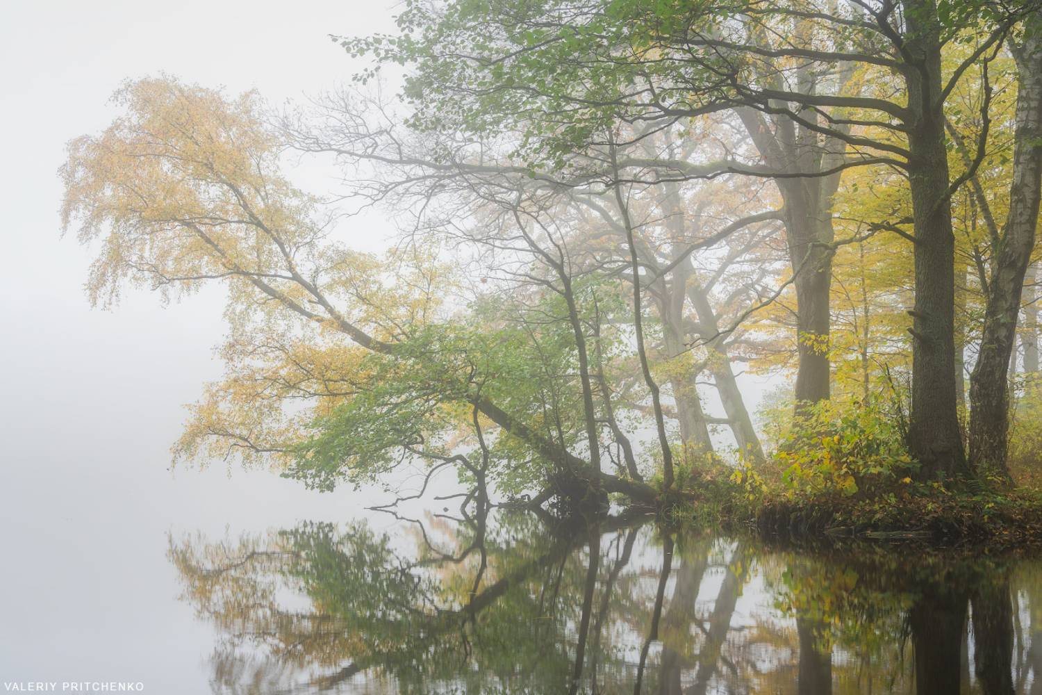 осень, утро, туман, природа, пейзаж, landscape, autumn, nature, fog, mist, morning, Валерий Притченко