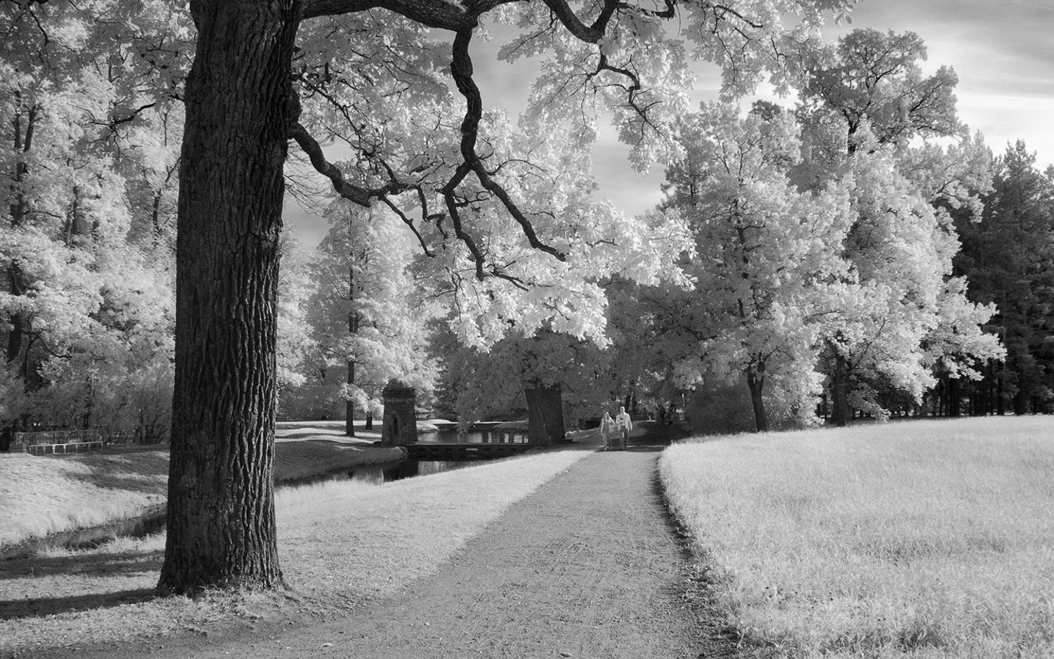 ,  Гобова Наталья