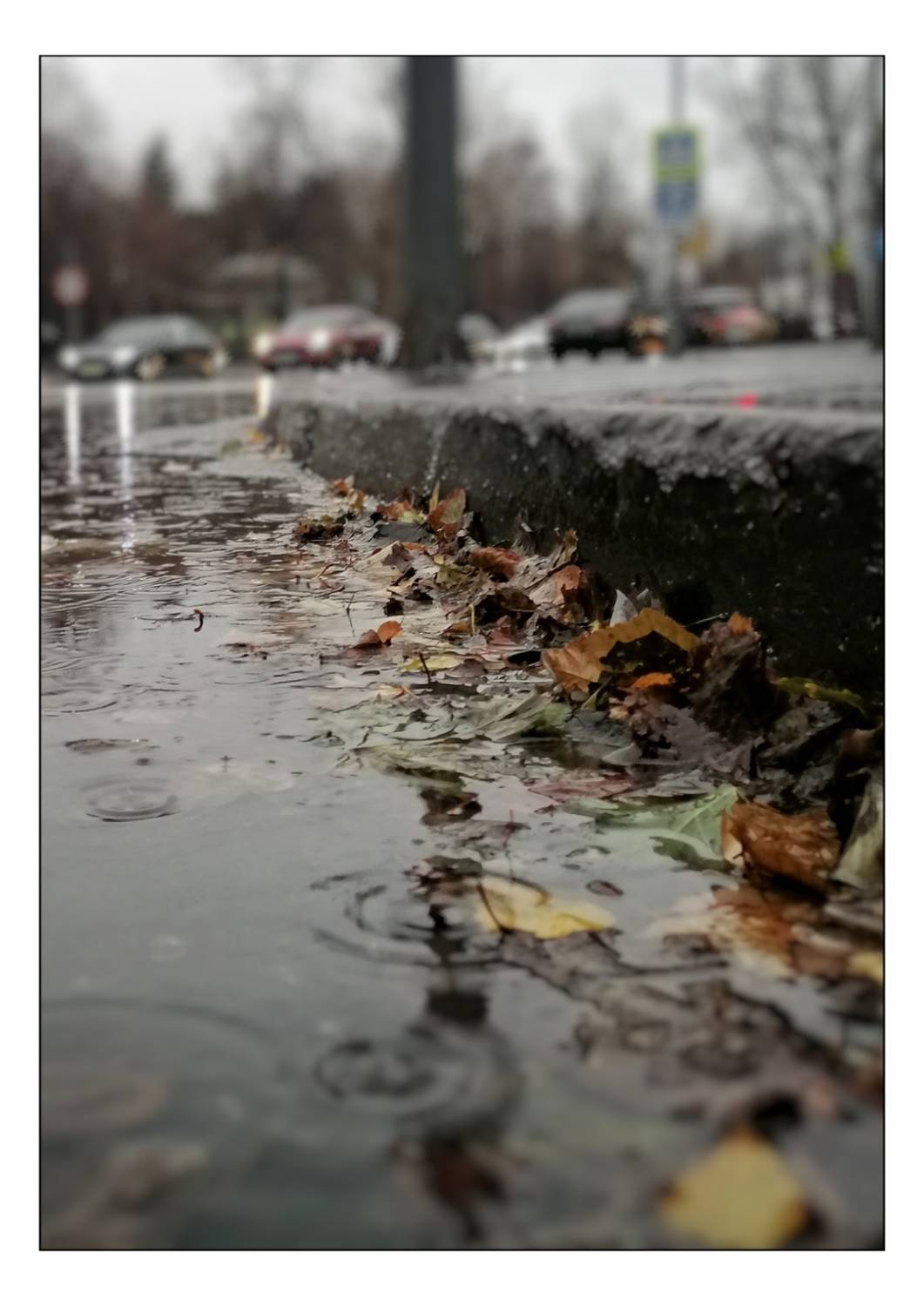 , Герасимова Алёна