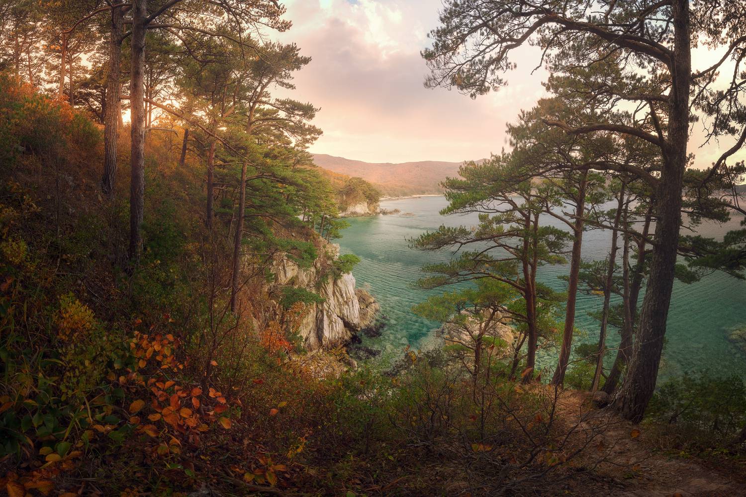 осень, море, скалы, лес, сосны, Андрей Кровлин