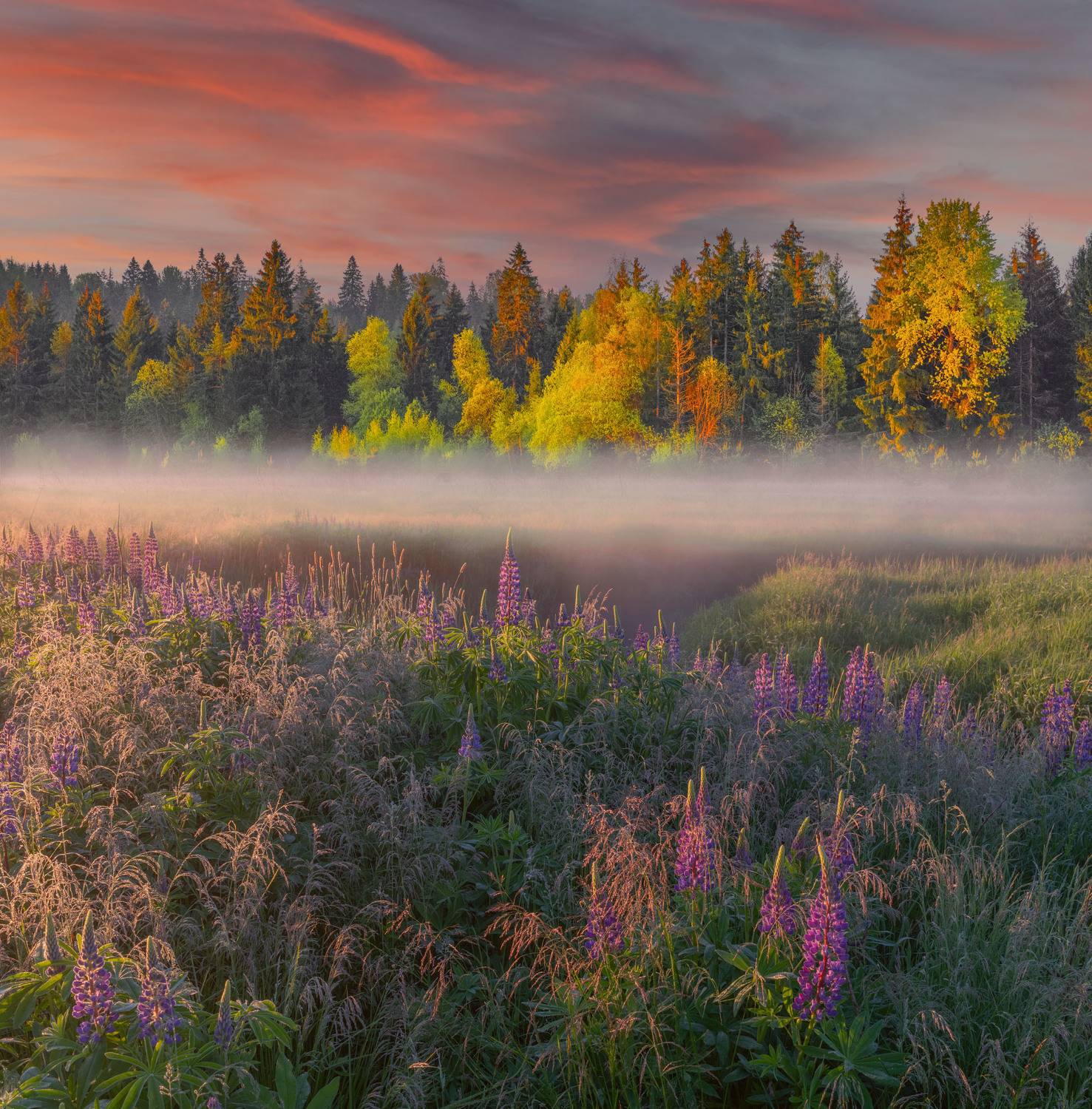 Фототуры с Владимиром Рябковым, #topnature #russpasibo #magic_shots #lovelyRussia #sunset_vision #exclusive_sky  #exclusive_shots #loves_russia2 #photoarena_nature #nature_sultans #nature_perfection #rsa_sky #rsa_sunset #photorussia #rsa_naturepics #sunse, Владимир Рябков