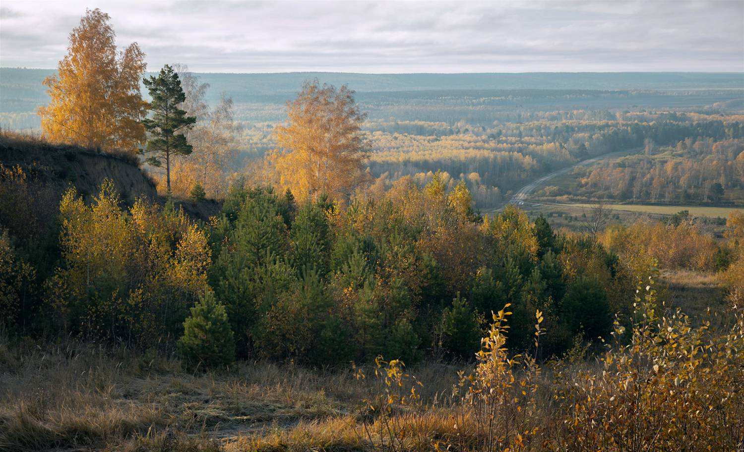 , Алексей Хахлов