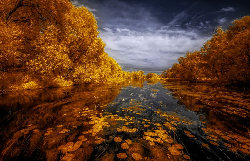 Лето на планете снов фото превью