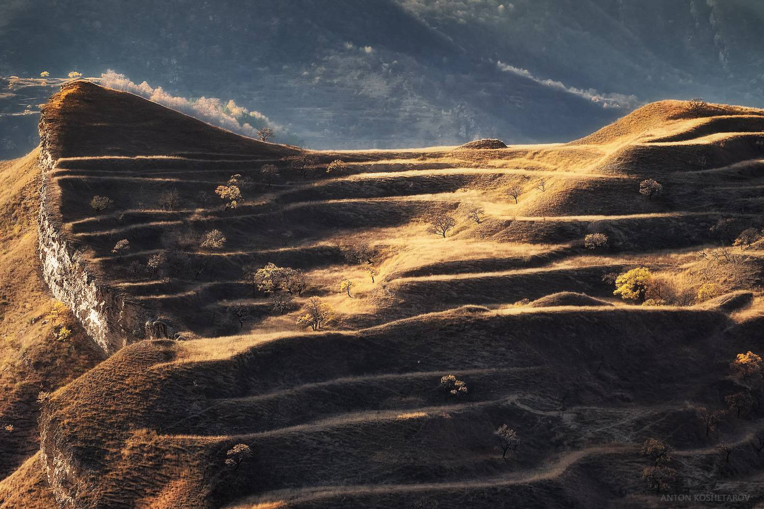 , Антон Кошетаров