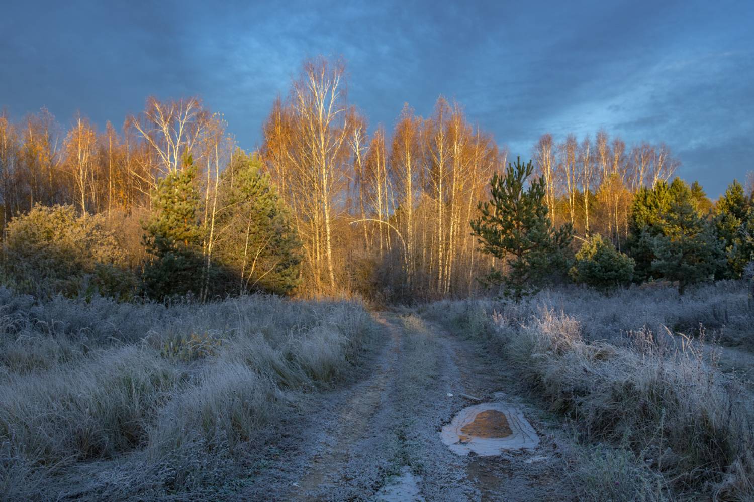 серково утро иней октябрь дорога, Дмитрий Алексеев