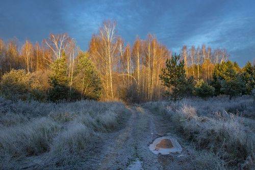 Жаркие лучи холодного утра.