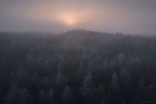 Лес Хийси