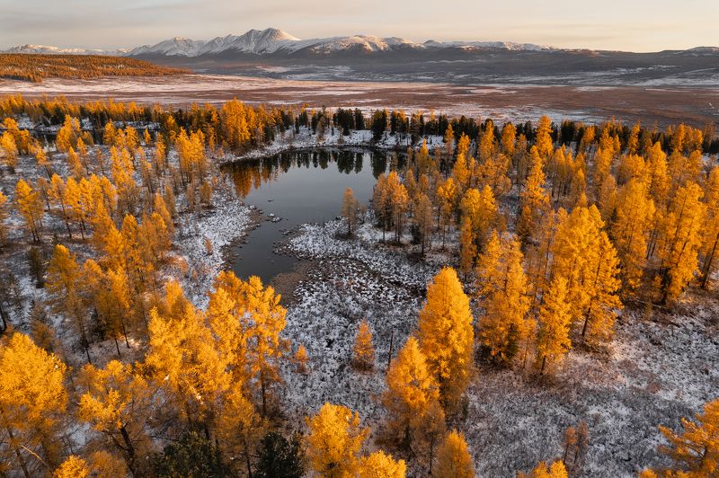 тува, республика тыва,  siberia, тайга, nerozya, russia, tuva, travel, exployer, russia Золото Тувы фото превью