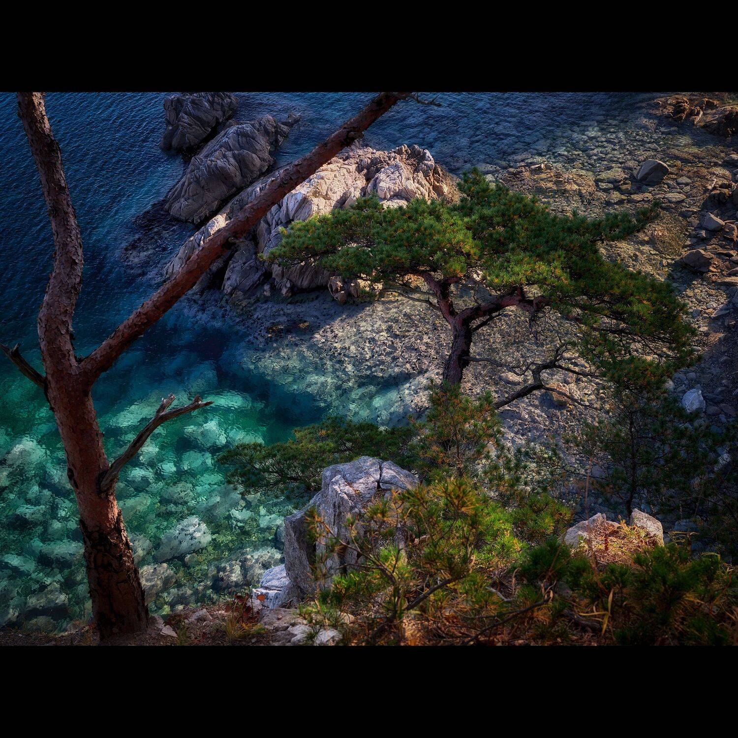 сосны, приморье, россия, приморский край, море, японское море, закат, кекур, природа, пейзаж, Ivan A. Godovikov