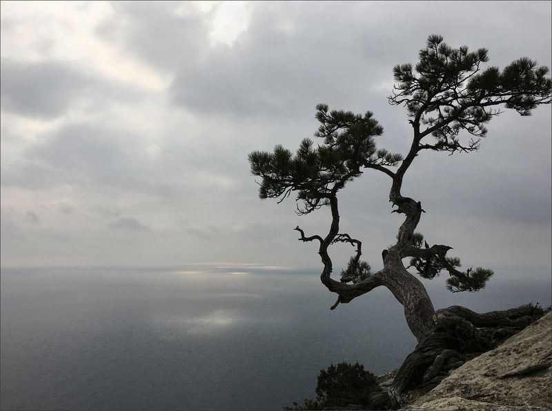 Alone фото превью