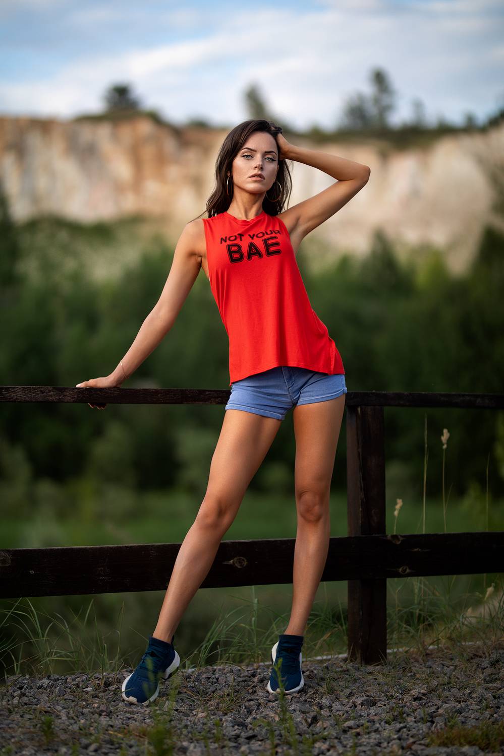 , Шульгин Дмитрий