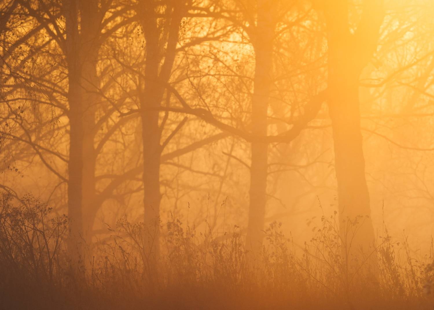 , Евгений Важенин