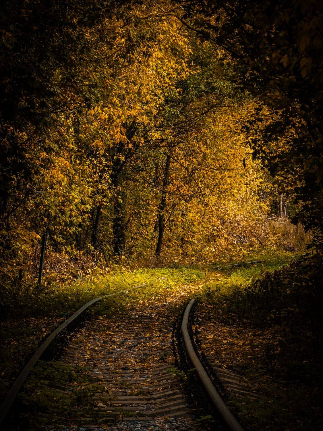 , Konstantin Martynov