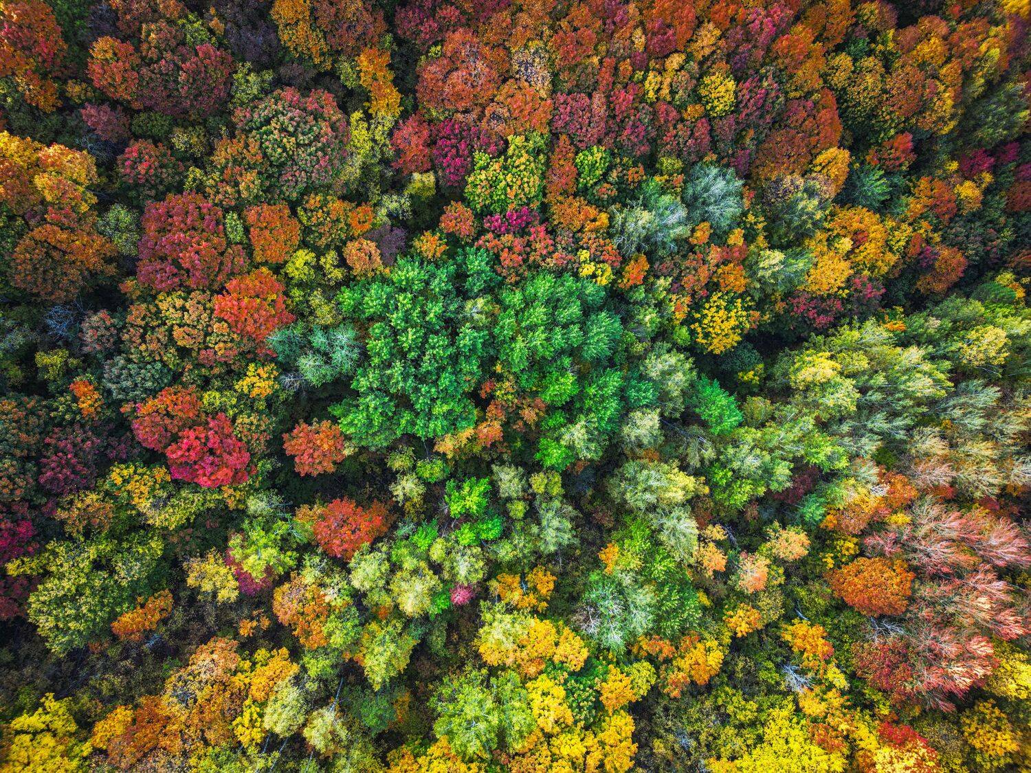 , Konstantin Martynov